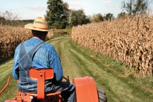 Farm Workers Overtime Pay Lawsuits