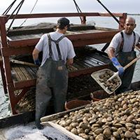 Mussel fishermen overtime pay laws